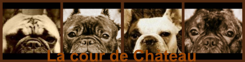 Bullys vom Zwinger La cour de Ch�teau