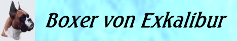 Boxer von Exkalibur