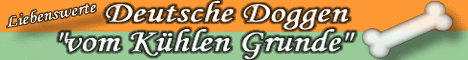 Liebenswerte Deutsche Doggen - vom K�hlen Grunde