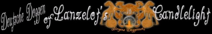 Jürgens-Doggen