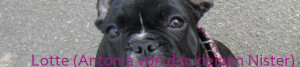 Lutz - Annee