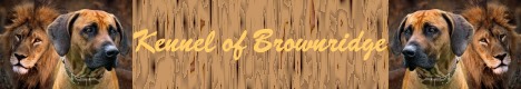 Kennel of Brownridge